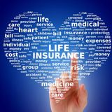 Nancy Blackman Insurance, Delavan