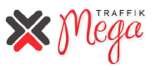 MegaTraffik a leading SEO Company in India, MegaTraffik, ghaziabad