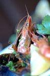  Profile Photos of Soprano Wine & Tapas Bar - Tunbridge Wells Old High Street - Photo 5 of 8
