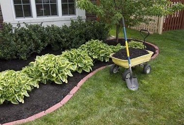  New Album of Landscape Solutions 280 Tollgate Rd - Photo 2 of 3