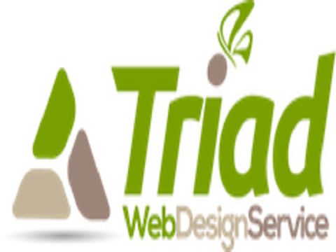 Profile Photos of Triad Web Design Service 1150 Revolution Mill Dr - Photo 1 of 1