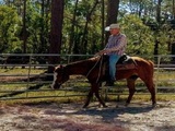 Piney Acres Training Stables, Naples