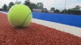  Artificial grass, astro turf maintenance, repairs and rejuvenation. <br />
www.artificialgrassmaintenance.co.uk                    Artificial Grass (Cambridge) Ltd Unit 1, Commercial road 