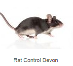 Shaw Pest Services, Exmouth