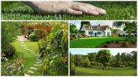  Profile Photos of F and G Landscape Professionals in West Palm Beach West Palm Beach - Photo 1 of 1