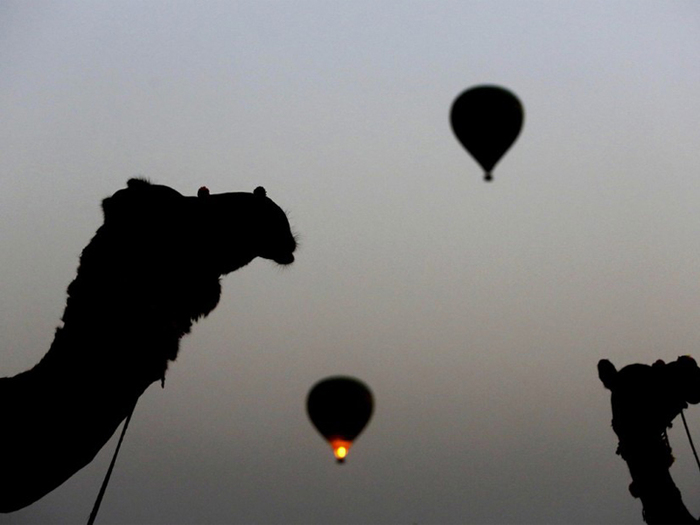  Gallery of SkyWaltz Balloon Safari A-49 , sector-69 - Photo 1 of 3