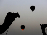SkyWaltz Balloon Safari, Noida