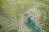 Lakeview Window Cleaning LLC, Mooresville