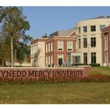 Gwynedd Mercy University, Gwynedd Valley