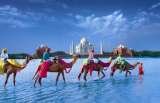 Menus & Prices, Festive Tours, Jaipur