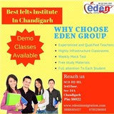 Eden Immigration, Chandigarh