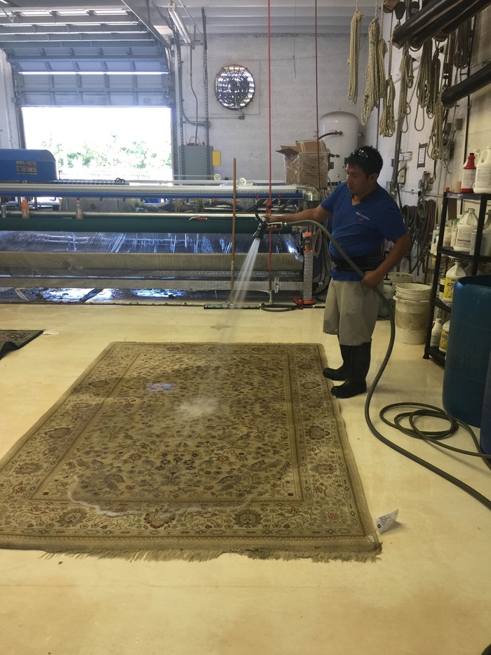  Rug Cleaning of Pride Oriental Rug Cleaning Service 2234 N Federal Hwy #1080 - Photo 1 of 12