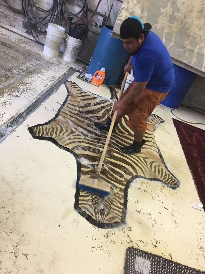  Rug Cleaning of Pride Oriental Rug Cleaning Service 2234 N Federal Hwy #1080 - Photo 2 of 12