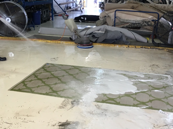 Rug Cleaning of Pride Oriental Rug Cleaning Service 2234 N Federal Hwy #1080 - Photo 4 of 12