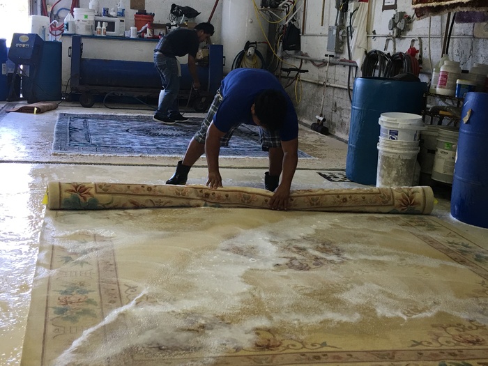  Rug Cleaning of Pride Oriental Rug Cleaning Service 2234 N Federal Hwy #1080 - Photo 6 of 12