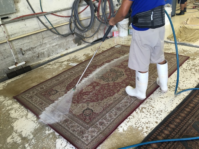  Rug Cleaning of Pride Oriental Rug Cleaning Service 2234 N Federal Hwy #1080 - Photo 8 of 12