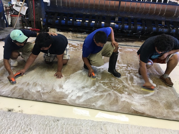  Rug Cleaning of Pride Oriental Rug Cleaning Service 2234 N Federal Hwy #1080 - Photo 10 of 12