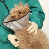  Pet Medical Center 3411 Fairfield Ct 