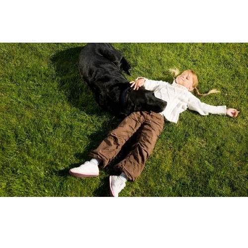  Profile Photos of 10X Turf Lawn Care Services 8401 Claude-Thomas Rd., Ste 6 - Photo 2 of 4