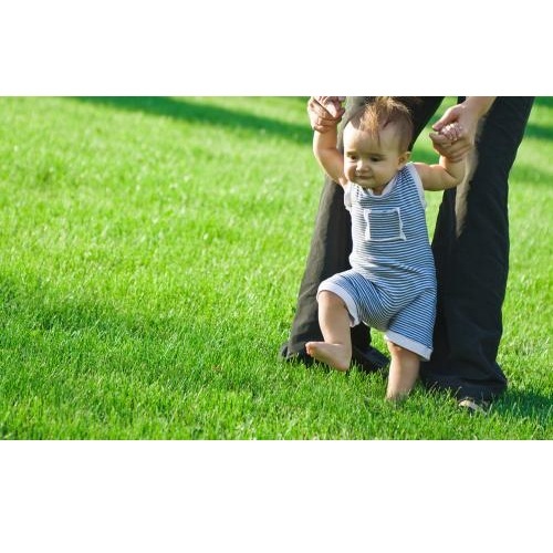  Profile Photos of 10X Turf Lawn Care Services 8401 Claude-Thomas Rd., Ste 6 - Photo 3 of 4
