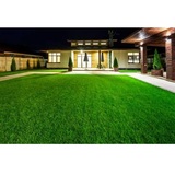  10X Turf Lawn Care Services 8401 Claude-Thomas Rd., Ste 6 