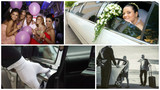 Above Rest Limousine Service, Spring