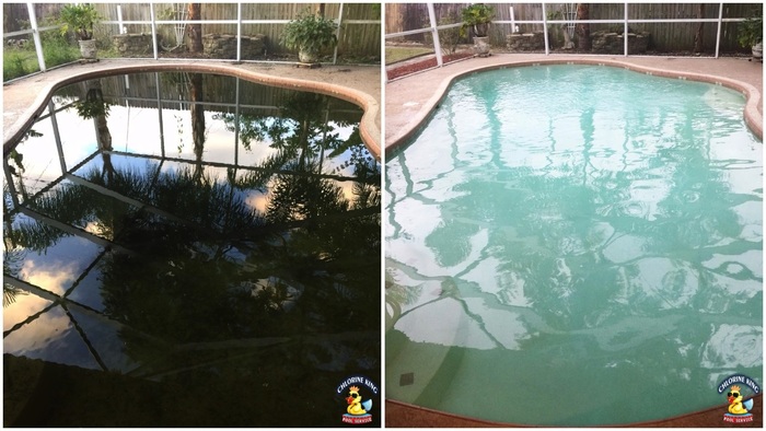 Profile Photos of Chlorine King Pool Service 11125 Park Blvd N, Suite 104-170 - Photo 10 of 12