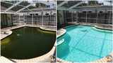  Chlorine King Pool Service 11125 Park Blvd N, Suite 104-170 