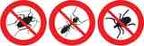 Andy's Pestcontrol, Fort Lauderdale