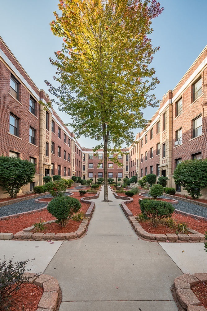  Profile Photos of Beal Properties 2320 N. Damen Ave, #1D - Photo 2 of 8