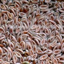  Profile Photos of RAJGANGA AGRO PRODUCT 402, Akashdeep, Barakhamba Road, - Photo 1 of 5