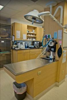  Profile Photos of Inman Park Animal Hospital 926 DeKalb Avenue - Photo 4 of 4