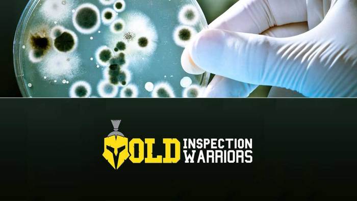  Profile Photos of Mold Inspection Warriors 388 Fulton street Unit 302 - Photo 1 of 2