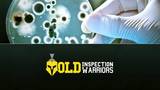 Mold Inspection Warriors, San Francisco