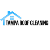 Tampa Roof Cleaning, Tampa