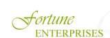 Fortune Enterprises, New Delhi