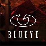  Blueye Eyewear Pty Ltd PO Box 354, 