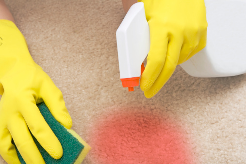  Profile Photos of J&H Carpet Cleaning Services LLC Lake Charles - Photo 1 of 1
