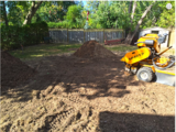 Stump Tech, Haydon