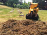 Stump Tech, Haydon