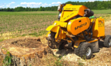 Stump Tech, Haydon
