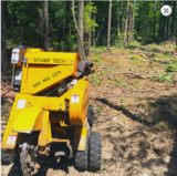 Stump Tech, Haydon