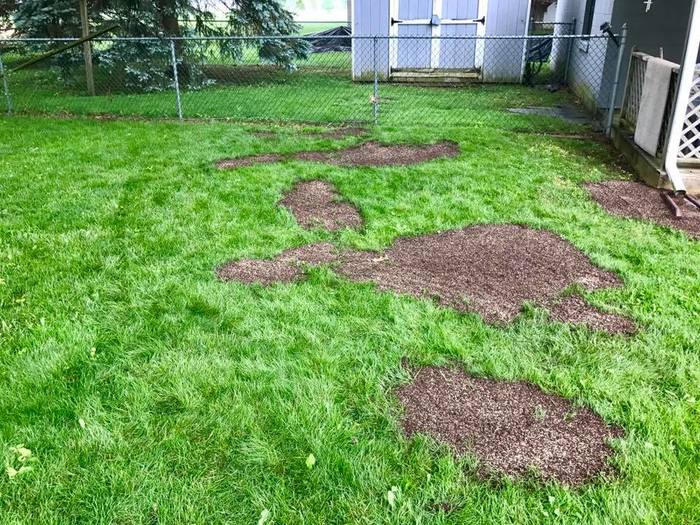  Len at Work of Backyard Wildlife Solutions 21 Reifsnyder Road - Photo 2 of 17