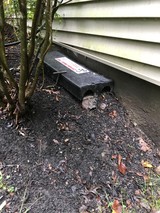  Backyard Wildlife Solutions 21 Reifsnyder Road 