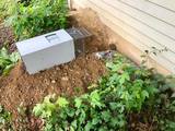  Backyard Wildlife Solutions 21 Reifsnyder Road 
