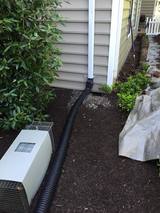  Backyard Wildlife Solutions 21 Reifsnyder Road 