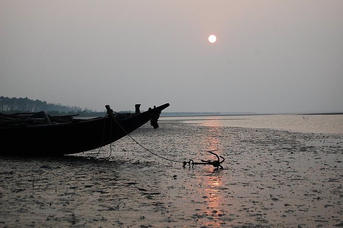  Eco tourism in India of National Parks in Odisha 30 B, Doctor Lane, Ripon Street, Maula Ali,Taltala, Kolkata, West Bengal, 700014 - Photo 7 of 8
