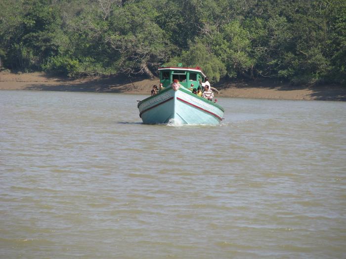  Eco tourism in India of National Parks in Odisha 30 B, Doctor Lane, Ripon Street, Maula Ali,Taltala, Kolkata, West Bengal, 700014 - Photo 8 of 8