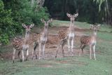  National Parks in Odisha 30 B, Doctor Lane, Ripon Street, Maula Ali,Taltala, Kolkata, West Bengal, 700014 