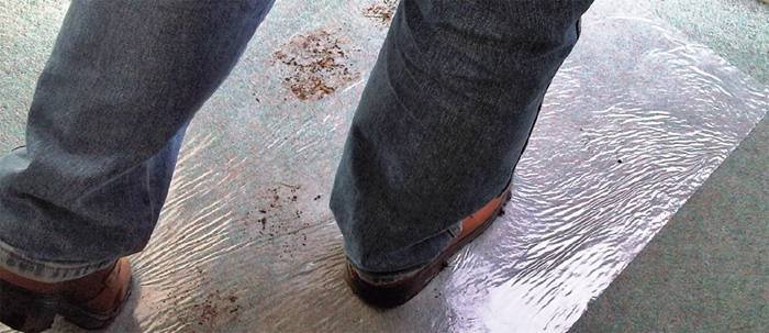 Temporary carpet protection film. Profile Photos of Verotapes North Wingfield Road - Photo 1 of 1